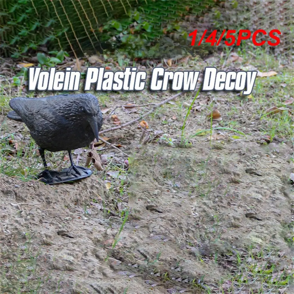 1/4/5PCS Simulation Of Black Crow Natural Props Simulation High Quality Image Lifelike Rugged And Durable Simple And Delicate
1/4/5PCS Simulation Of Black Crow Natural Props Simulation High Quality Image Lifelike Rugged And Durable Simple And Delicate