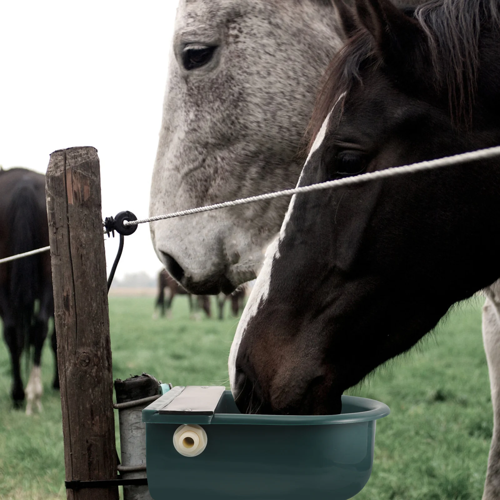 

Automatic Cow and Sheep Drinking Water Bowl Cow Water Feeder Water Dispenser Automatic Horse Waterer Livestock Trough Tool