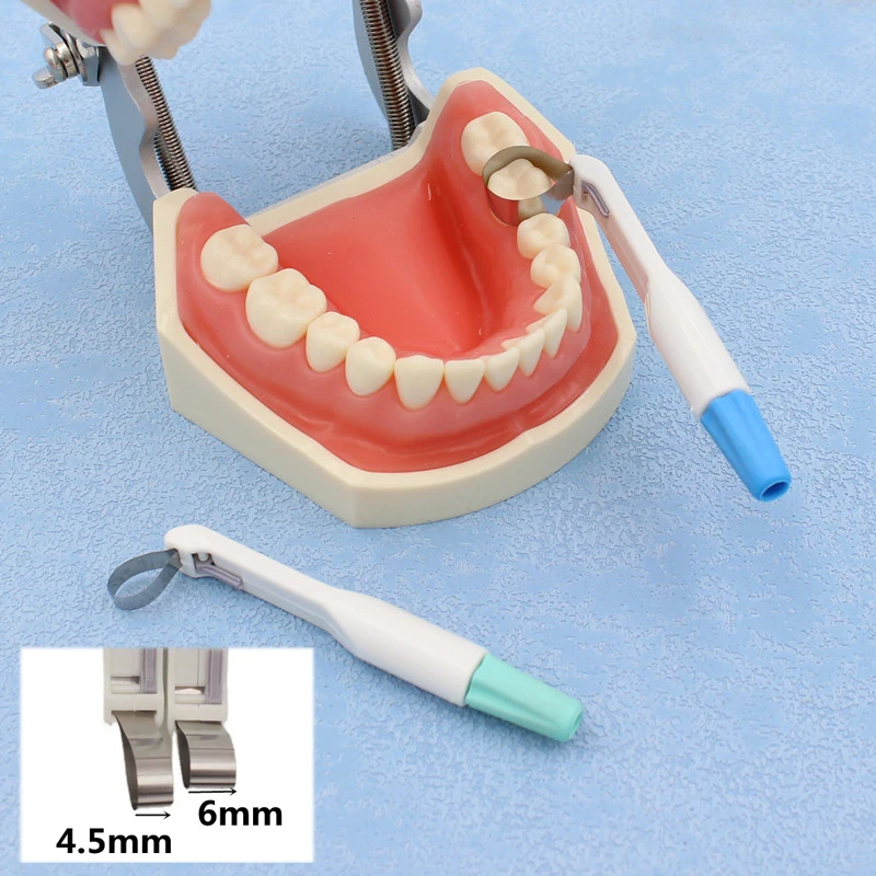 

1 Pc Dental Matrix Band Matrice Adjustable Ring System Stainless Steel Standard And Curved Pre Formed 4.5/6 MM Dentistry