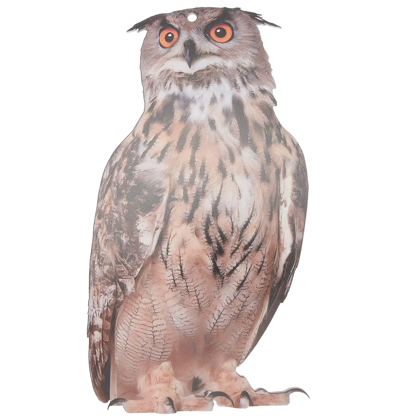 Drive Away From The Birds 24x11cm Acrylic Owl Decoration Owl Decoration 24x11cm Rainproof For Home Garden Yard
Drive Away From The Birds 24x11cm Acrylic Owl Decoration Owl Decoration 24x11cm Rainproof For Home Garden Yard