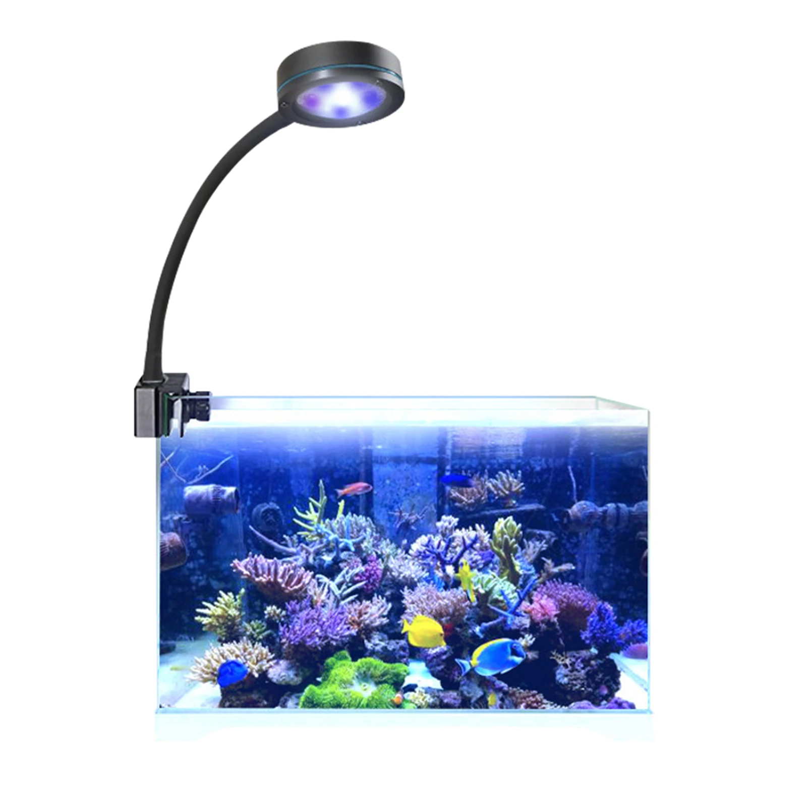 18W Aquarium LED Lights Fish Tank Seawater Coral Lights 360 degrees Rotating Bracket Algae Tank Lights with Timer
18W Aquarium LED Lights Fish Tank Seawater Coral Lights 360 degrees Rotating Bracket Algae Tank Lights with Timer