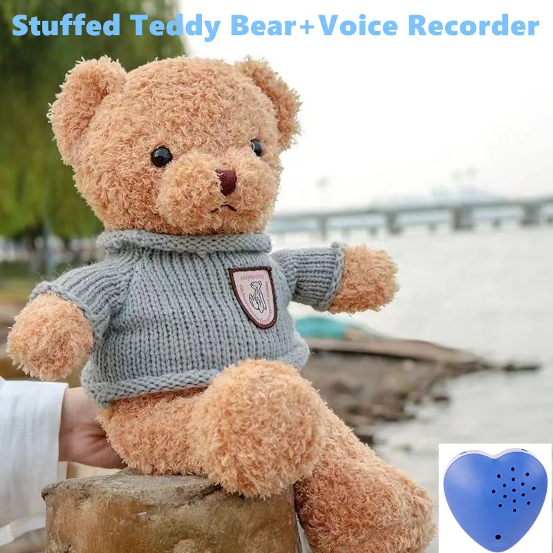 Bear Stuffed Animals with Voice Recorder Set 30 Seconds Voice Sound Recorder Module 40cm Soft Plush Bear with Zipper for Boys
Bear Stuffed Animals with Voice Recorder Set 30 Seconds Voice Sound Recorder Module 40cm Soft Plush Bear with Zipper for Boys