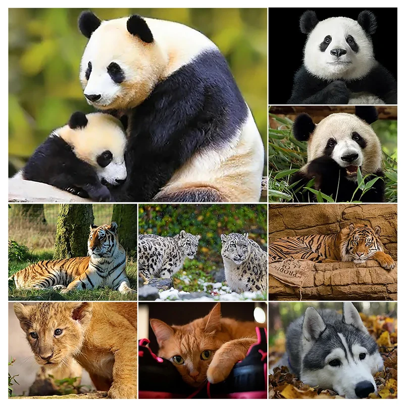 5D DIY Diamond Painting Animal Diamond Embroidery Full Rhinestone Mosaic Panda Cross Stitch Kit Art Home Decor Gift
5D DIY Diamond Painting Animal Diamond Embroidery Full Rhinestone Mosaic Panda Cross Stitch Kit Art Home Decor Gift