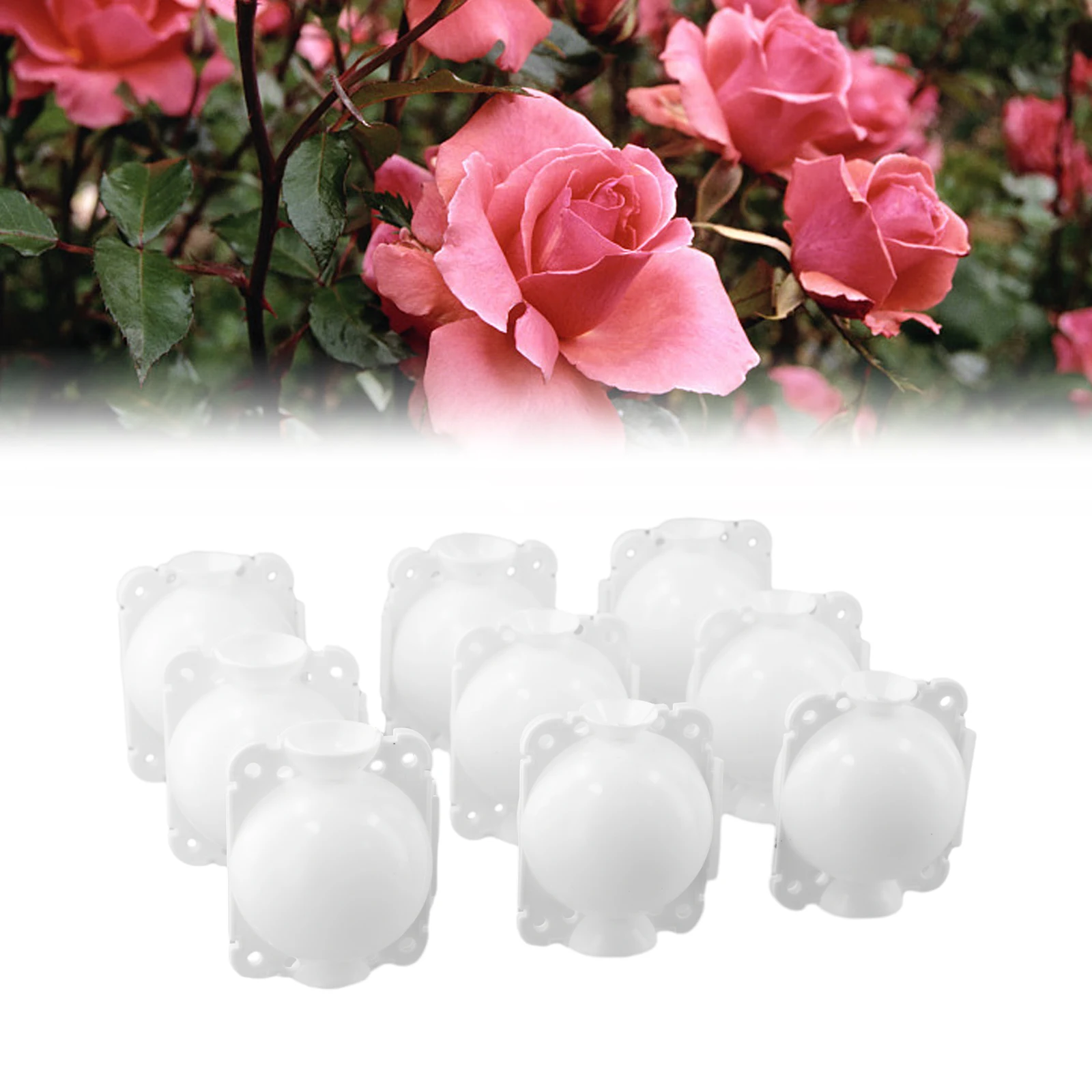 10pcs Garden Grafting Box 5/8cm Plant Rooting Equipment High Pressure Propagation Ball Parkside Tree Roses Nursery Pots Planters
10pcs Garden Grafting Box 5/8cm Plant Rooting Equipment High Pressure Propagation Ball Parkside Tree Roses Nursery Pots Planters