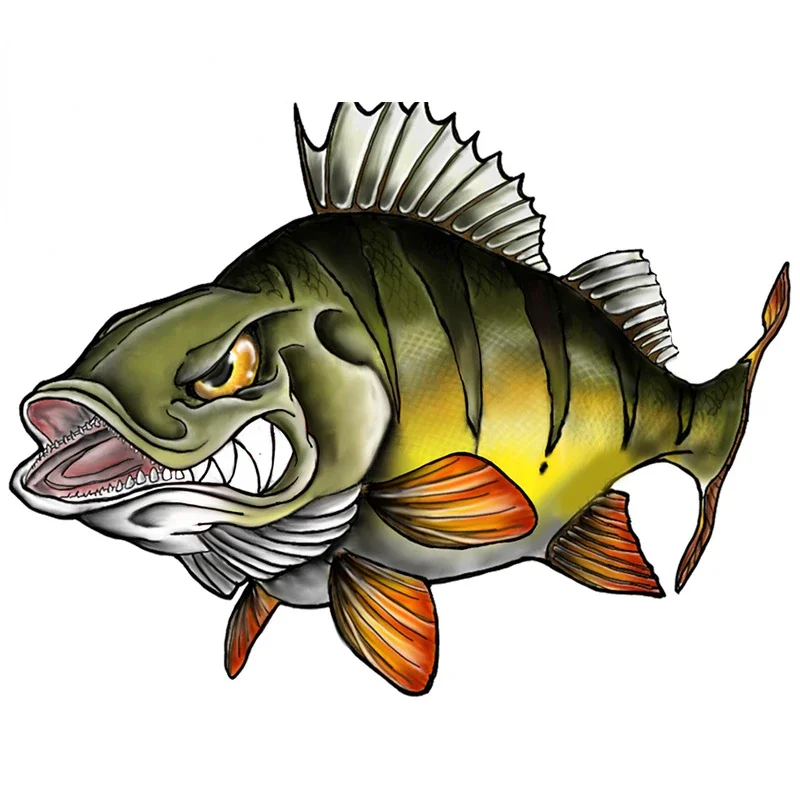 

Lifelike Peacock Bass Fish Anime Car Stickers Motorcycle Decal Vinyl Laptop Decals Decor
