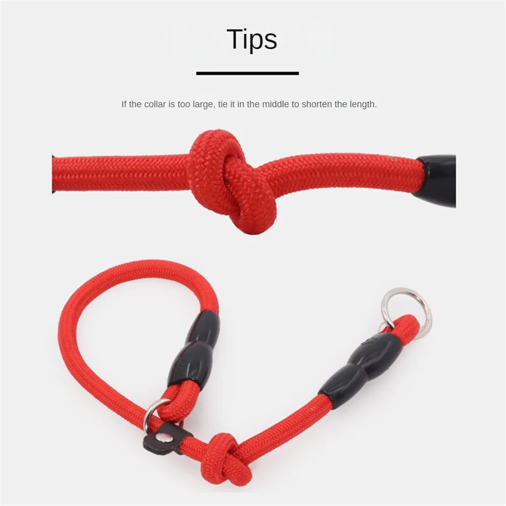 Pet P Chain Nylon Collar Dog Training Accessories Adjustable Size Big Dog Collar Harness Outdoor Training Leash Pet Supplies
Pet P Chain Nylon Collar Dog Training Accessories Adjustable Size Big Dog Collar Harness Outdoor Training Leash Pet Supplies
