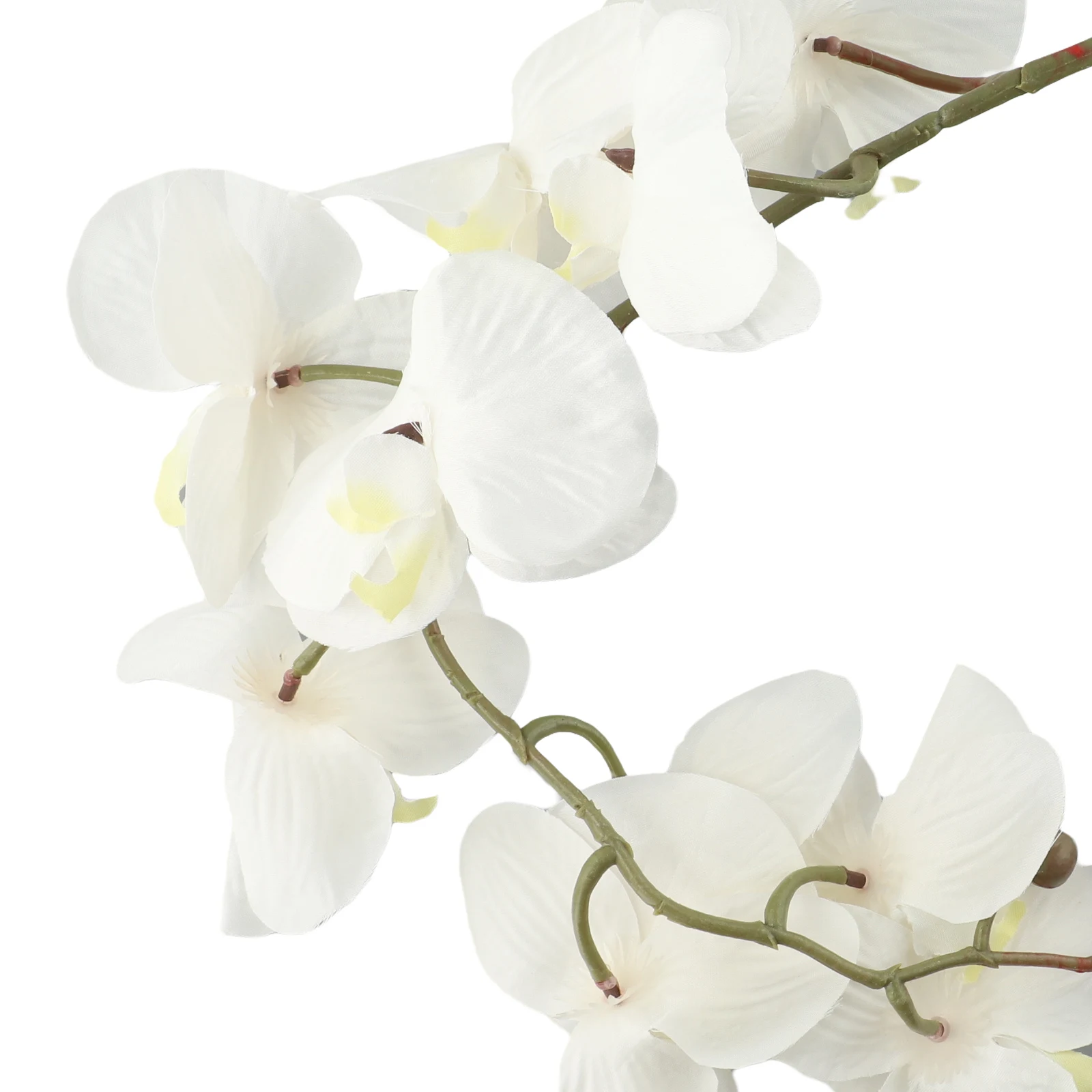 Artificial Silk Flowers Real Touch Artificial Moth Orchid Butterfly Orchid For Home Table Wedding Festival Decoration
Artificial Silk Flowers Real Touch Artificial Moth Orchid Butterfly Orchid For Home Table Wedding Festival Decoration