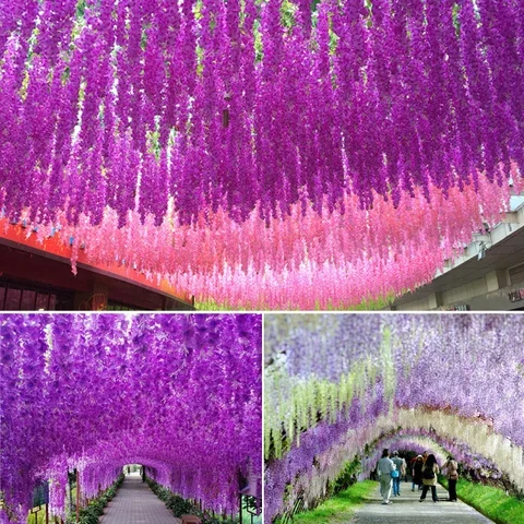 

12 Pieces Artificial Wisteria Flower Silk Vine Garland Hanging for Wedding Party Garden Outdoor Greenery Office Wall Decor
