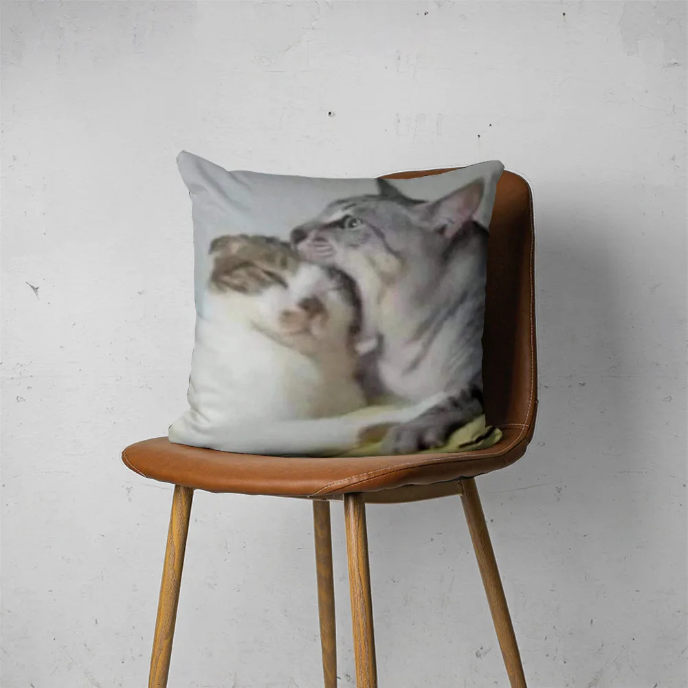 CAT MEME PILLOW 009 Customizable Bedroom Bed Sofa Hotel Car Lumbar Pillow Fashion Decorative Pillow Cover
CAT MEME PILLOW 009 Customizable Bedroom Bed Sofa Hotel Car Lumbar Pillow Fashion Decorative Pillow Cover
