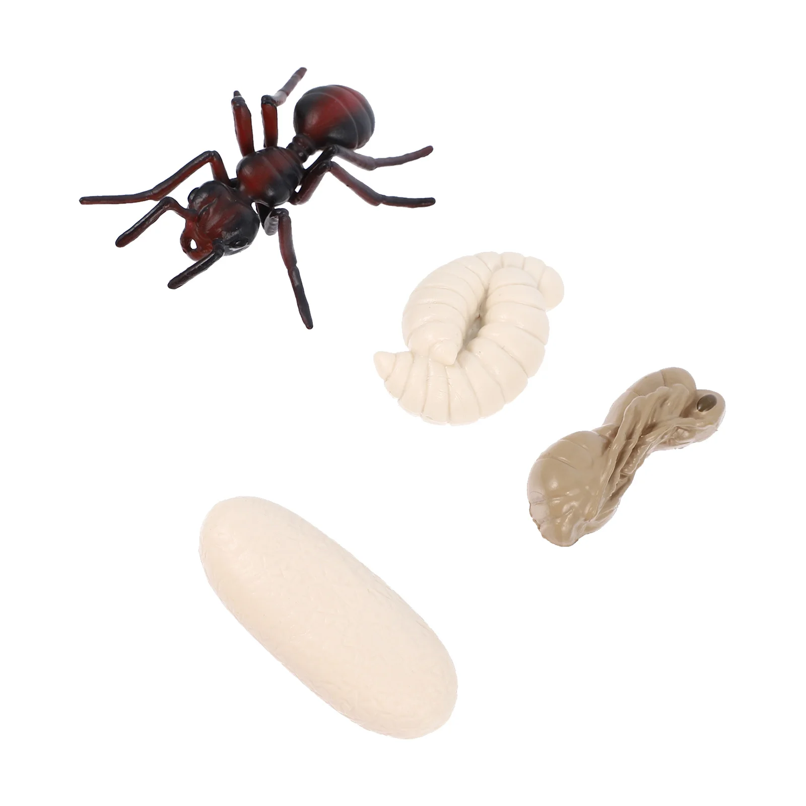 

Ant Insect Growth Cycle Child Plastic Animals Figurines Pvc Kids Enlightenment Toy