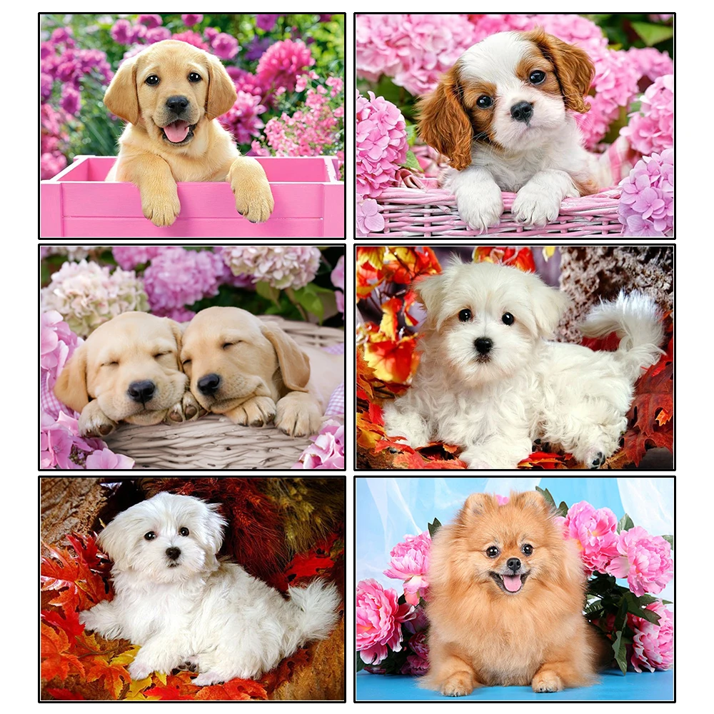 5d Diamond Painting Full SquareRound Dog flower animal Picture Of Rhinestone DIY Diamond Embroidery Home Decor
5d Diamond Painting Full SquareRound Dog flower animal Picture Of Rhinestone DIY Diamond Embroidery Home Decor