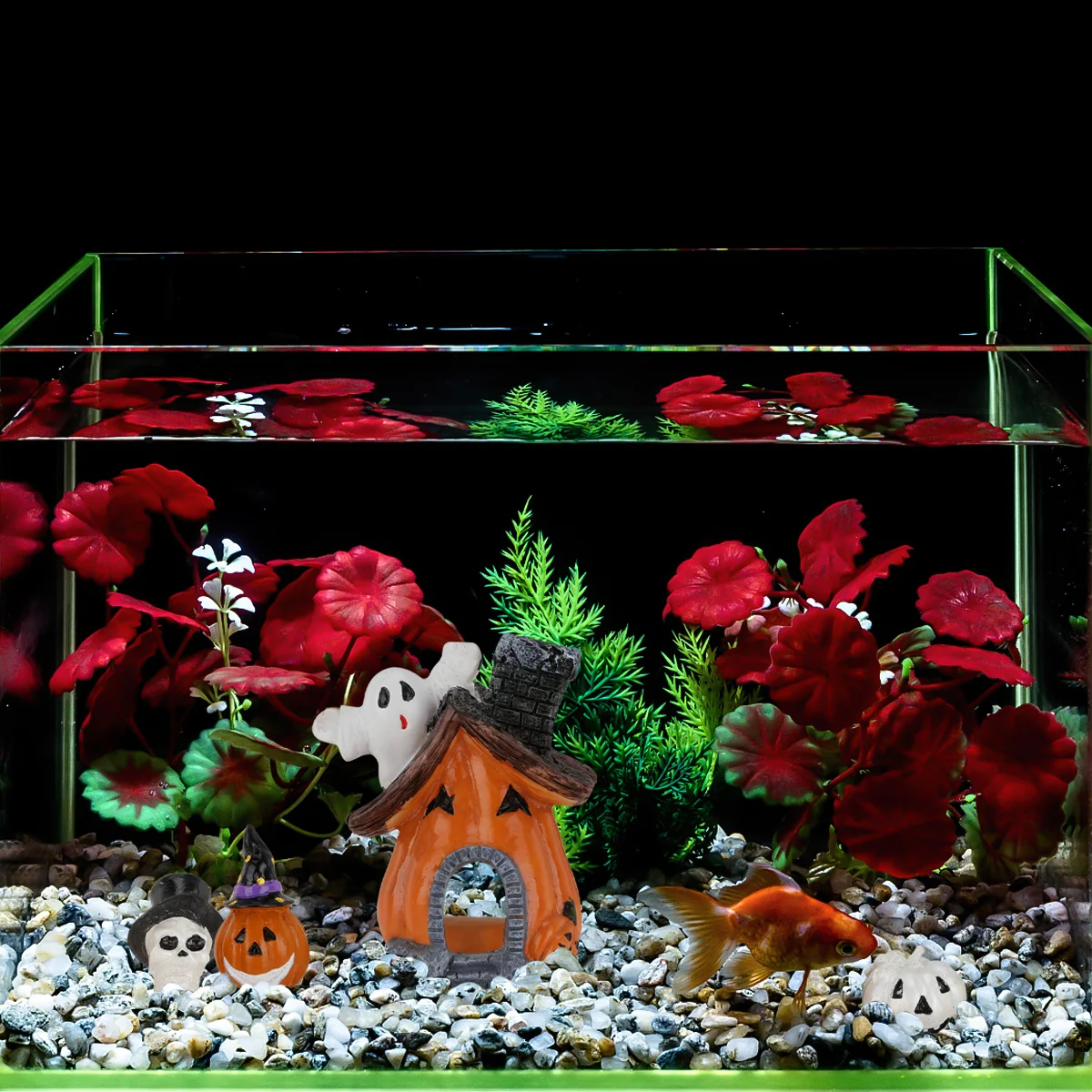 5 PCS/Set Aquarium Halloween Decoration Betta Fish Tank Accessories Hiding Hole Cave Hideout Big Resin Pumpkin Ornament
5 PCS/Set Aquarium Halloween Decoration Betta Fish Tank Accessories Hiding Hole Cave Hideout Big Resin Pumpkin Ornament
