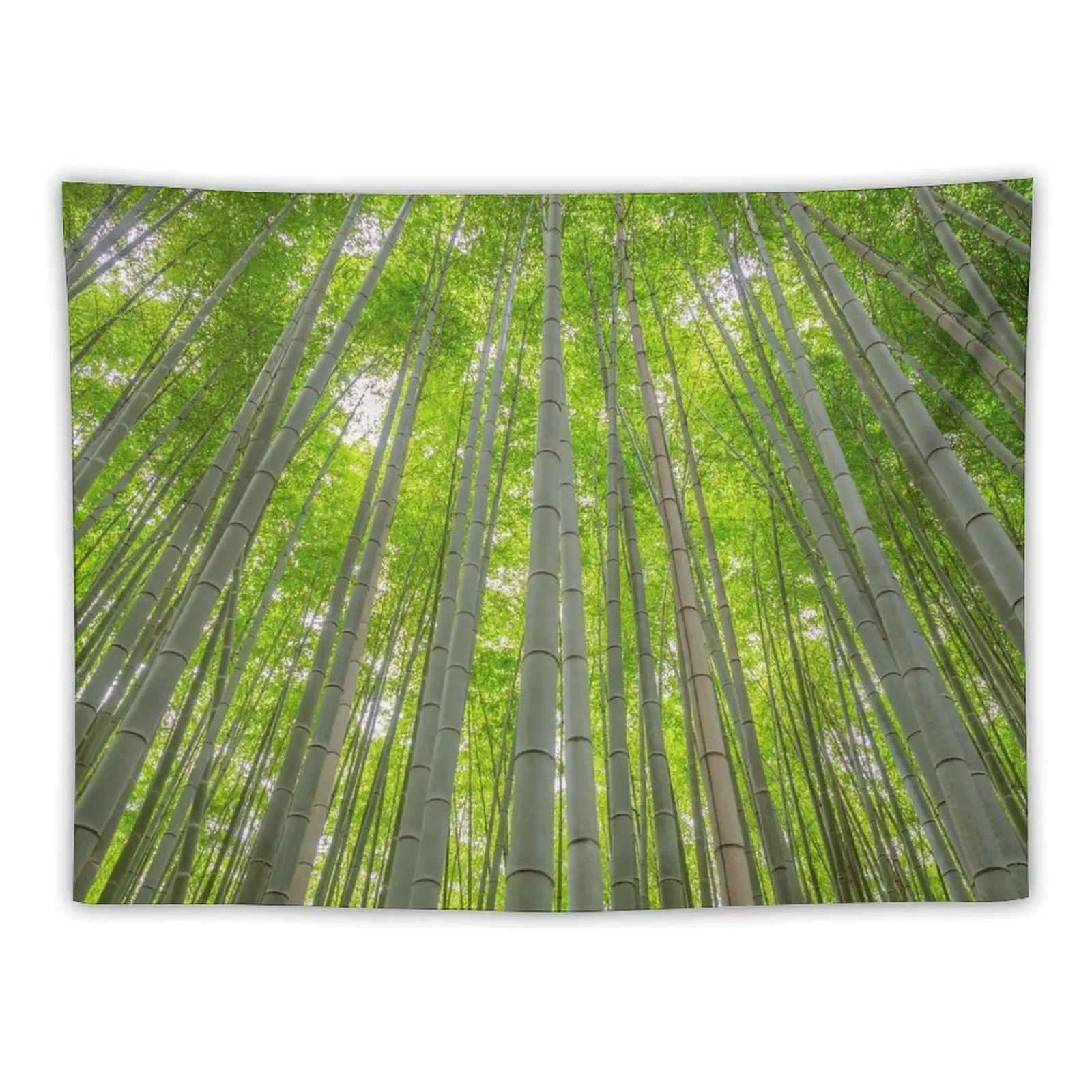 Towering Bamboo Tapestry Cute Room Decor Wall Hangings Decoration Wall Deco Tapestry
Towering Bamboo Tapestry Cute Room Decor Wall Hangings Decoration Wall Deco Tapestry