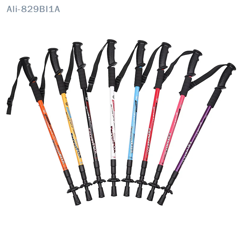 Adjustable Walking Stick 2 Section Stable Anti-Skid Crutch Old Man Mountain Climbing Hiking Cane
Adjustable Walking Stick 2 Section Stable Anti-Skid Crutch Old Man Mountain Climbing Hiking Cane