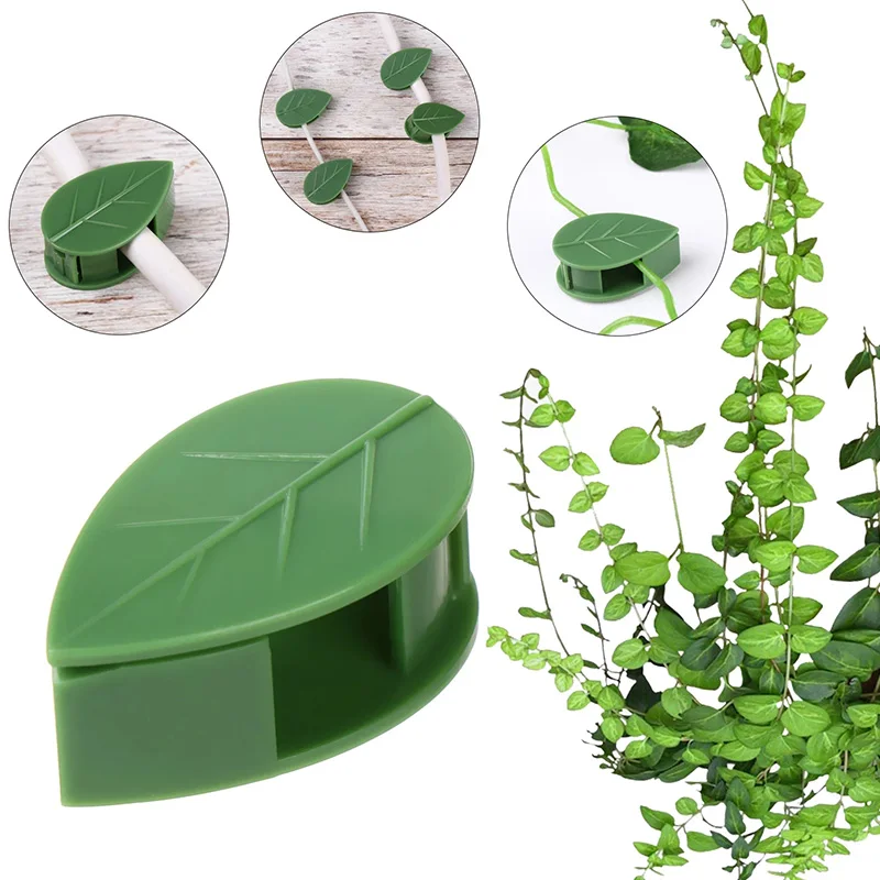 20pcs Garden Accessories Plant Clips Leaves Wall Vine Flower Vegetables Plant Holder Creative Plant Climbing Wall Fixture Clips
20pcs Garden Accessories Plant Clips Leaves Wall Vine Flower Vegetables Plant Holder Creative Plant Climbing Wall Fixture Clips