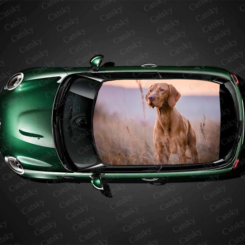 Brown Vizsla Animal Dog Car Roof Sticker Decoration Film Car Decal Hood Vinyl Sticker Graphic Wrap Car Protect Accessories Gift
Brown Vizsla Animal Dog Car Roof Sticker Decoration Film Car Decal Hood Vinyl Sticker Graphic Wrap Car Protect Accessories Gift