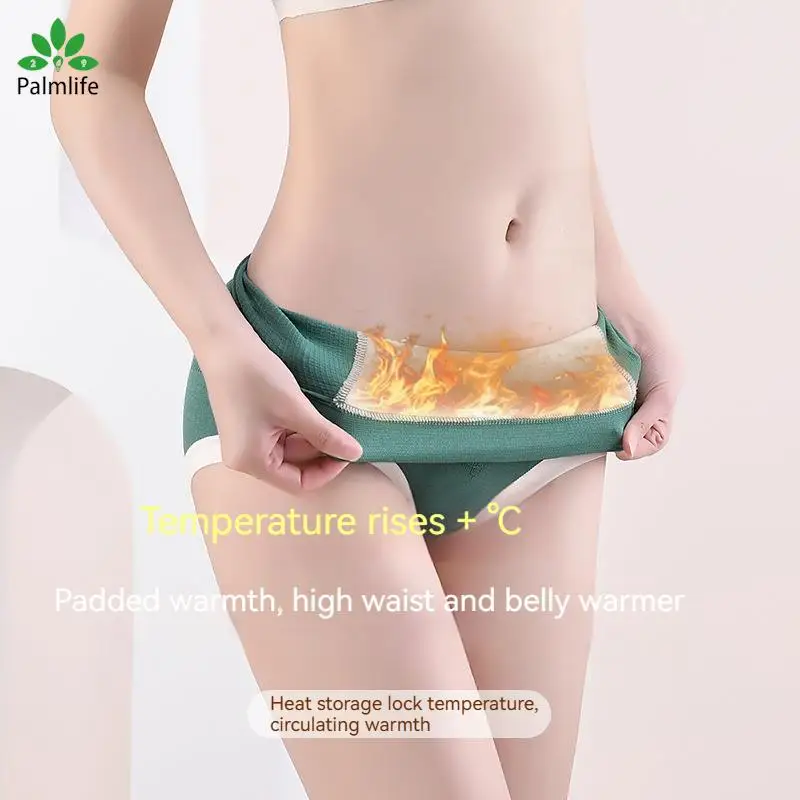 Palmlife Autumn Winter Female Warm High-Waist Underwear To Lift The Buttocks And Abdominal Graphene Padded Women Triangle Pants
Palmlife Autumn Winter Female Warm High-Waist Underwear To Lift The Buttocks And Abdominal Graphene Padded Women Triangle Pants