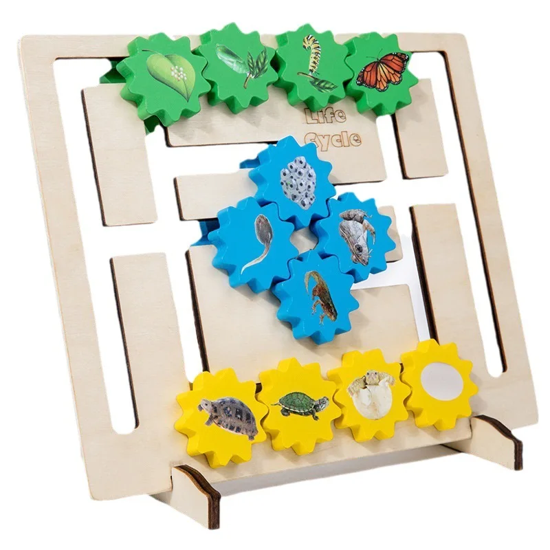 Gear Animal Life Cycle Maze Montessori Toy Biology Plant Frog Butterfly Educational Games Montessori Educational Toys for Kids
Gear Animal Life Cycle Maze Montessori Toy Biology Plant Frog Butterfly Educational Games Montessori Educational Toys for Kids