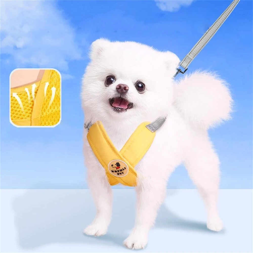 Dog Harness Leash Set Adjustable Outdoor Travel Puppy Cat Chest Strap Vest Reflective Breathable Pet Small Dogs Traction Rope
Dog Harness Leash Set Adjustable Outdoor Travel Puppy Cat Chest Strap Vest Reflective Breathable Pet Small Dogs Traction Rope