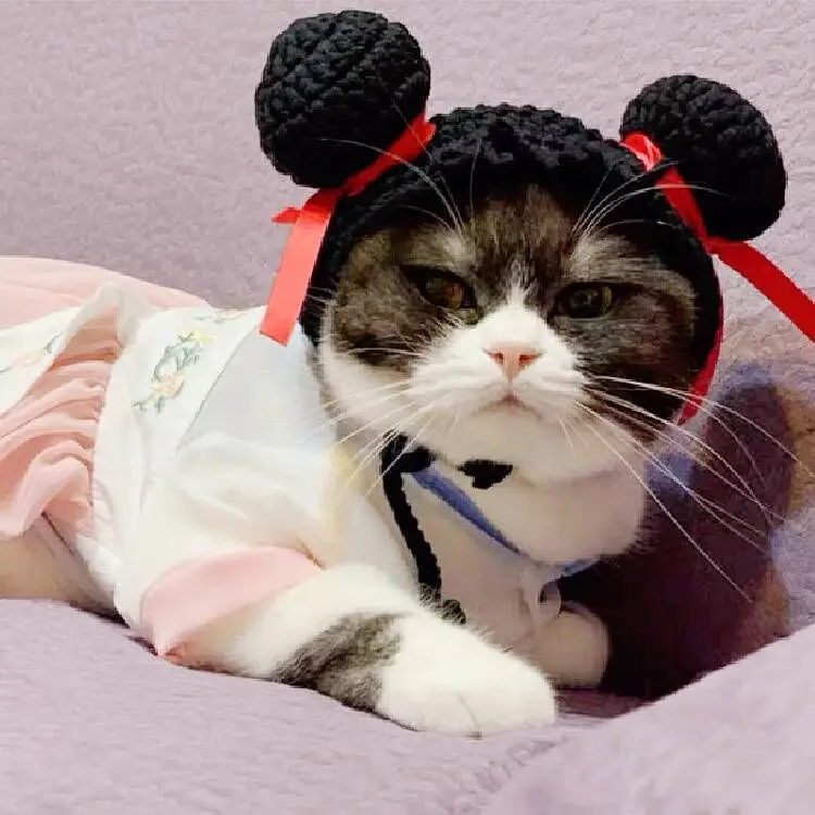 Fancy Cat Costume Pet Clothes Cap Cute Cat Costume Cosplay Kitten Small Dog Hat with Ears Funny Pet Party Supplies
Fancy Cat Costume Pet Clothes Cap Cute Cat Costume Cosplay Kitten Small Dog Hat with Ears Funny Pet Party Supplies
