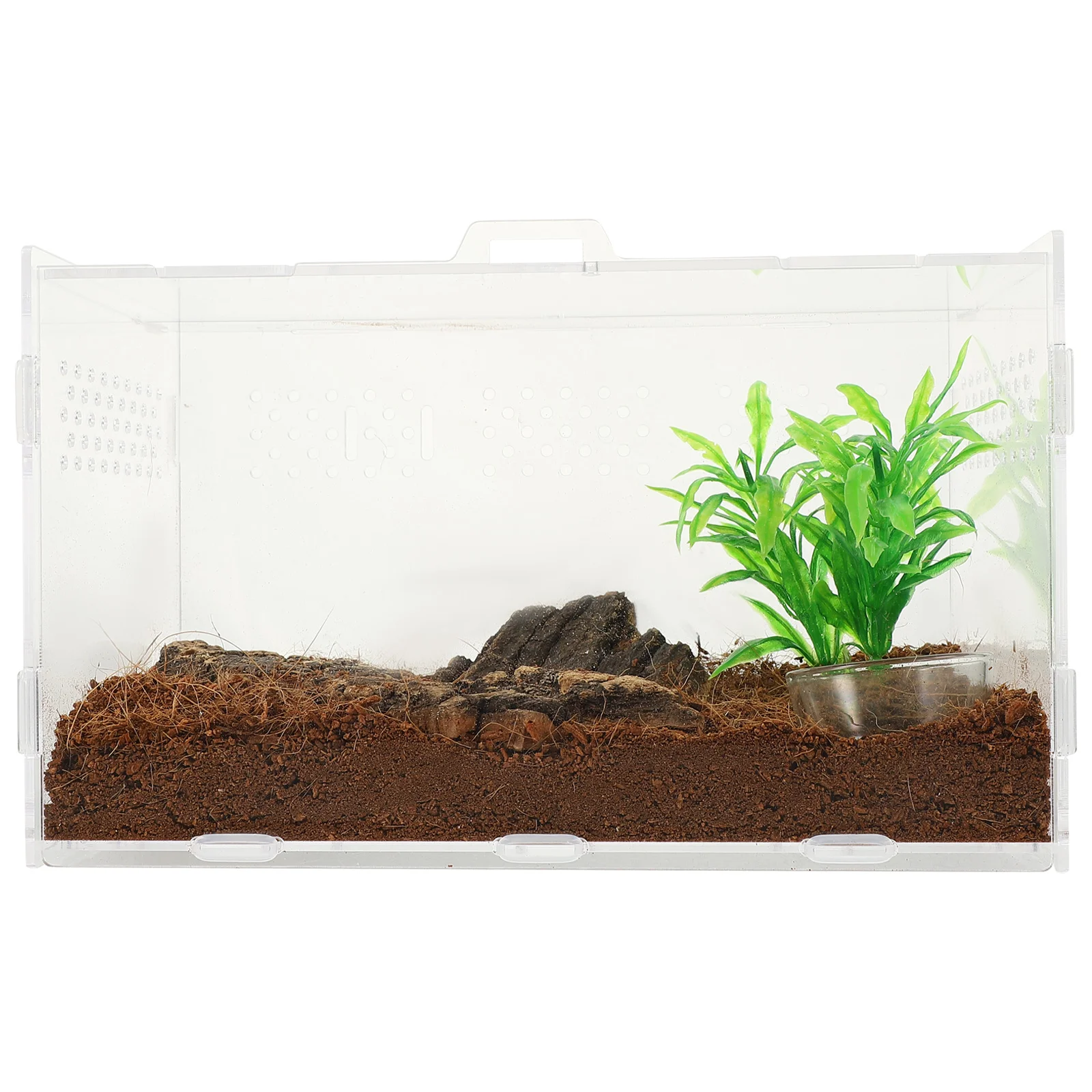 Transparent Terrarium Reptile Tank Spider Enclosure Acrylic Lizard Leopard Gecko Vivarium
Transparent Terrarium Reptile Tank Spider Enclosure Acrylic Lizard Leopard Gecko Vivarium