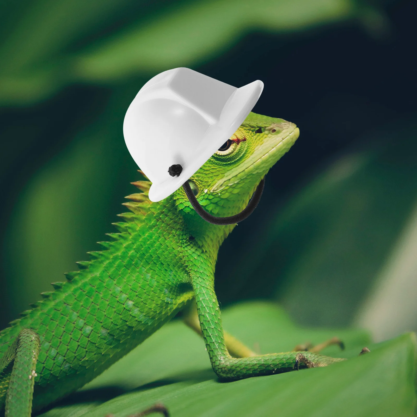 Lizard Hat Hard Hats Decorative Crawl Pet Bearded Dragon Plastic Reptile Caps Lovely
Lizard Hat Hard Hats Decorative Crawl Pet Bearded Dragon Plastic Reptile Caps Lovely