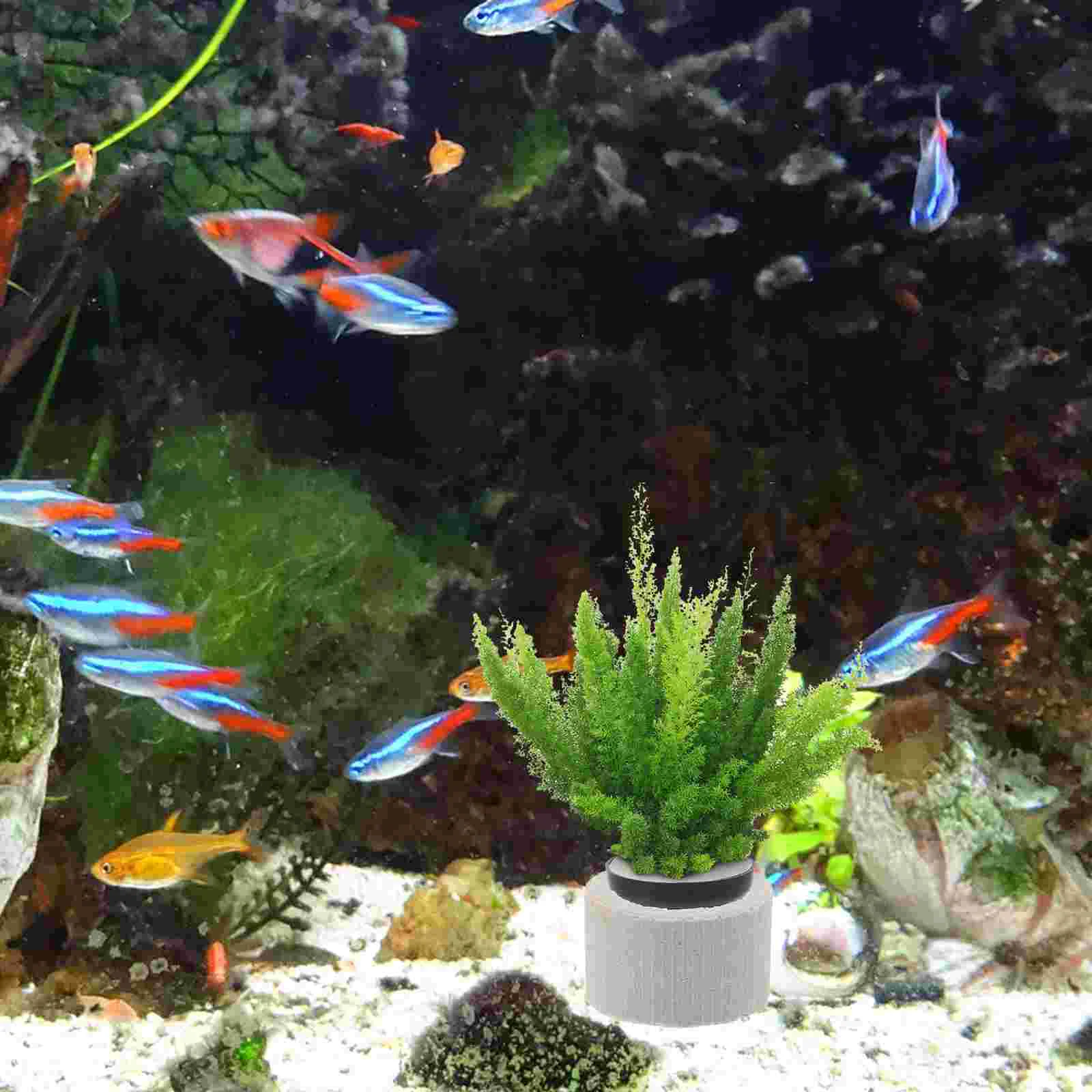 5 Sets Fish Bowl Tank Decors Fix Rings Planting Basket Aquarium Weights Pot Plastic Aquatic Fixed Holder Biological Breathing
5 Sets Fish Bowl Tank Decors Fix Rings Planting Basket Aquarium Weights Pot Plastic Aquatic Fixed Holder Biological Breathing