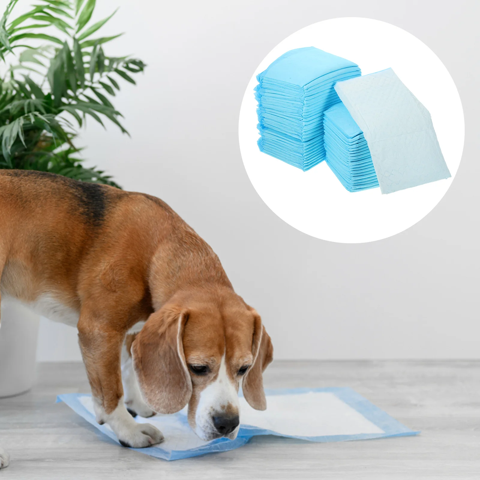 50/100pcs Pet Diaper Dog Training Pee Pads Super Absorbent Pet Training Dog Pee Pads Pet Dog Pee Mats Quick-Dry Surface Mat
50/100pcs Pet Diaper Dog Training Pee Pads Super Absorbent Pet Training Dog Pee Pads Pet Dog Pee Mats Quick-Dry Surface Mat