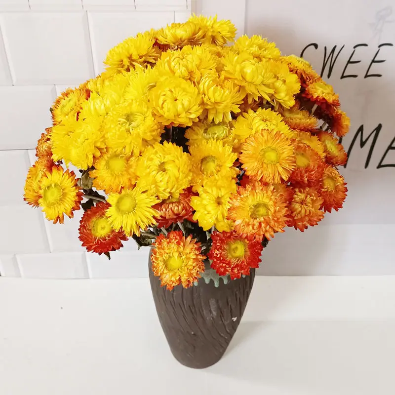 20Pcs Dried Chrysanthemum Strawflower Home Decoration Photography Diy Flowers Material Real Daisy Flower for Arrangement
20Pcs Dried Chrysanthemum Strawflower Home Decoration Photography Diy Flowers Material Real Daisy Flower for Arrangement