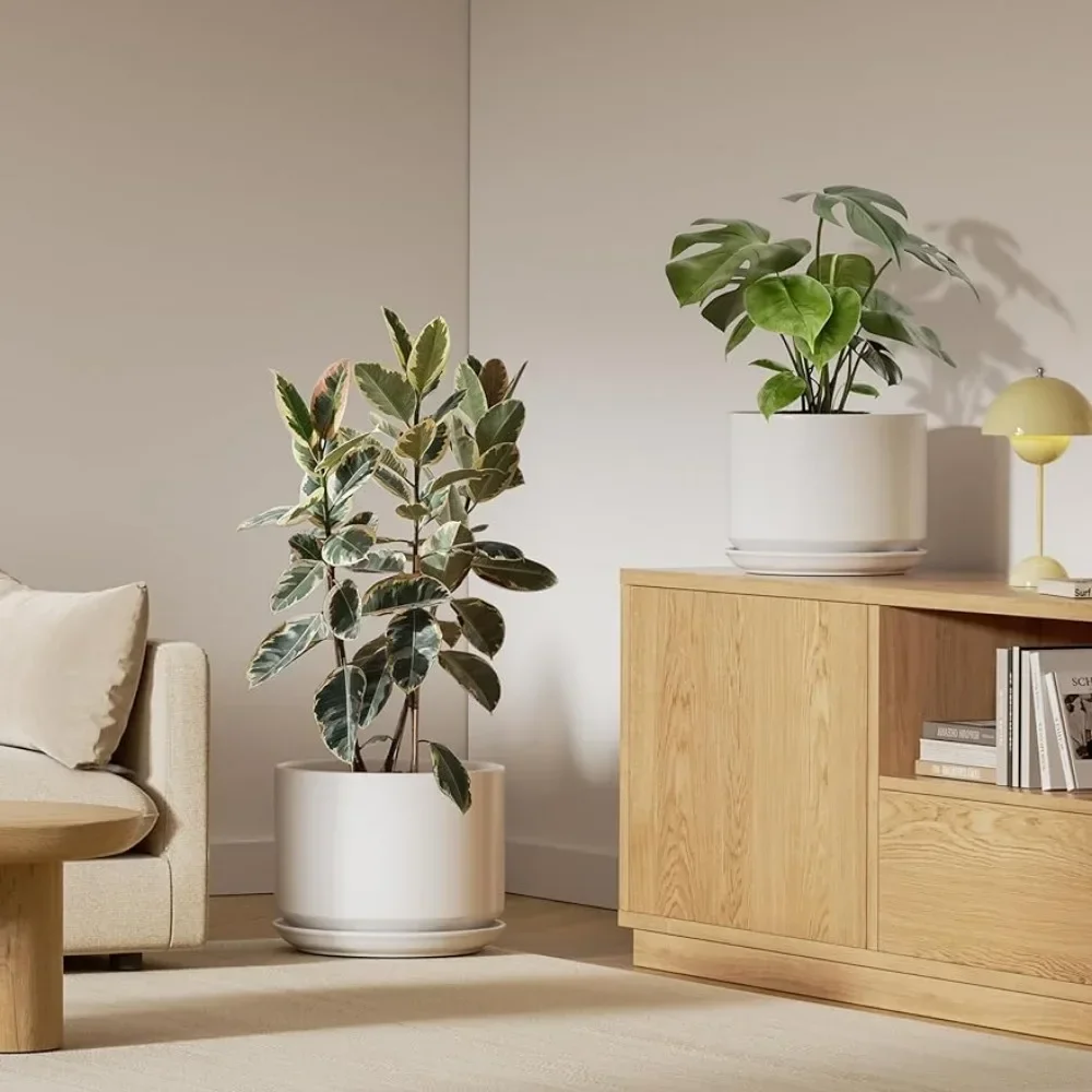 Bonsai Pot Indoor Plant Pots for Home and Office Modern Flower Pots Fit Mid Century Plant Stand Garden Decorations White Plants
Bonsai Pot Indoor Plant Pots for Home and Office Modern Flower Pots Fit Mid Century Plant Stand Garden Decorations White Plants