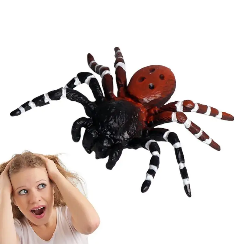 

Spider Toys For Boys Realistic Horror Prank Spider Toy Funny Horror Halloween Decor For Haunted House And Halloween Theme Party
