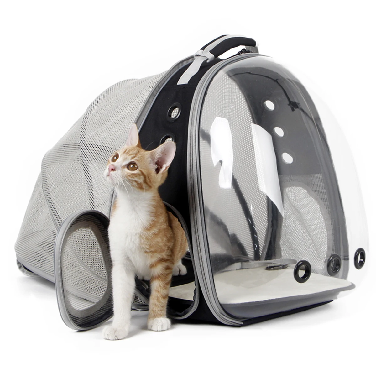 Cat Backpack Carrie, Back Extension Space Capsule Clear Bubble Astronaut Pet Backpack for Kitten Bunny Small Dog Vet Cat Bookbag
Cat Backpack Carrie, Back Extension Space Capsule Clear Bubble Astronaut Pet Backpack for Kitten Bunny Small Dog Vet Cat Bookbag