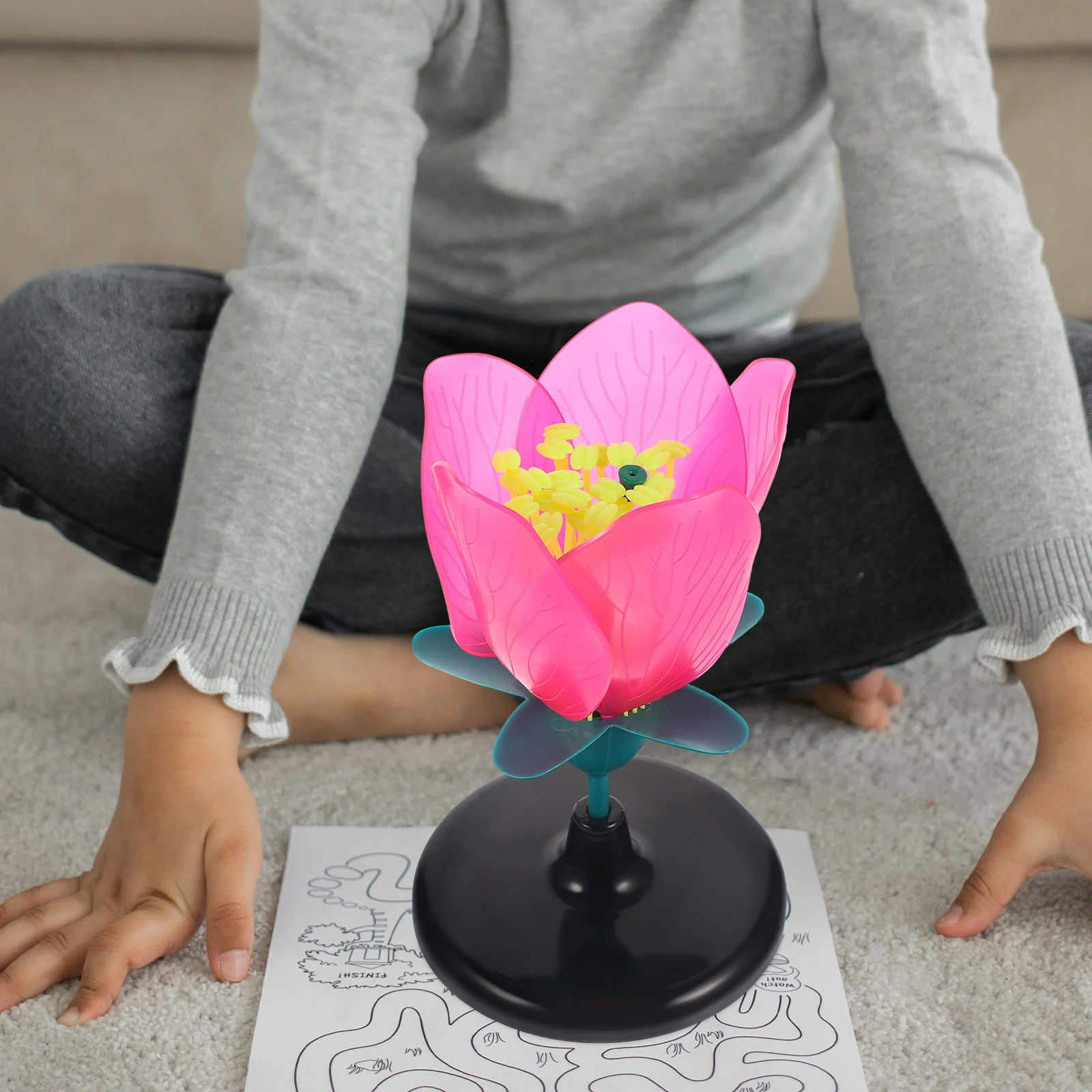 Plastic Peach Blossom Model Realistic Floral Plant Model Biology Teaching Instrument
Plastic Peach Blossom Model Realistic Floral Plant Model Biology Teaching Instrument