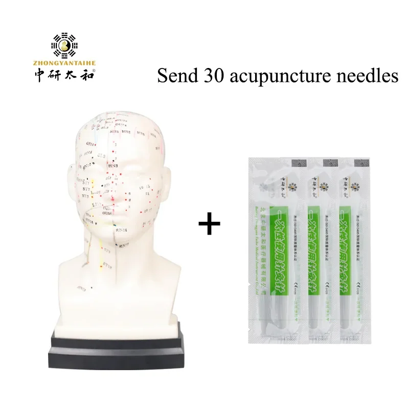 ZHONGYAN TAIHE Professional Medical Acupuncture Head Model 8.7" with English Points and 30 Acupuncture Needles Learning Tool
ZHONGYAN TAIHE Professional Medical Acupuncture Head Model 8.7" with English Points and 30 Acupuncture Needles Learning Tool