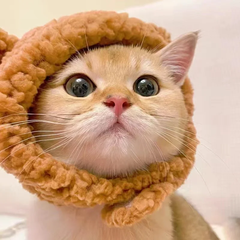 S7b4a82c174004cf8a4291ab06129da87r