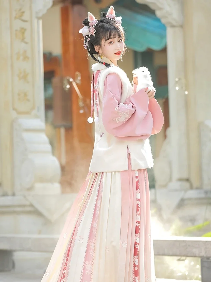 Chinese New Year Rabbit Year Winter Hanfu Ming Dynasty Bijia Chinese Traditional Embroidery Hanfu Costume Plush Ma Mian
Chinese New Year Rabbit Year Winter Hanfu Ming Dynasty Bijia Chinese Traditional Embroidery Hanfu Costume Plush Ma Mian