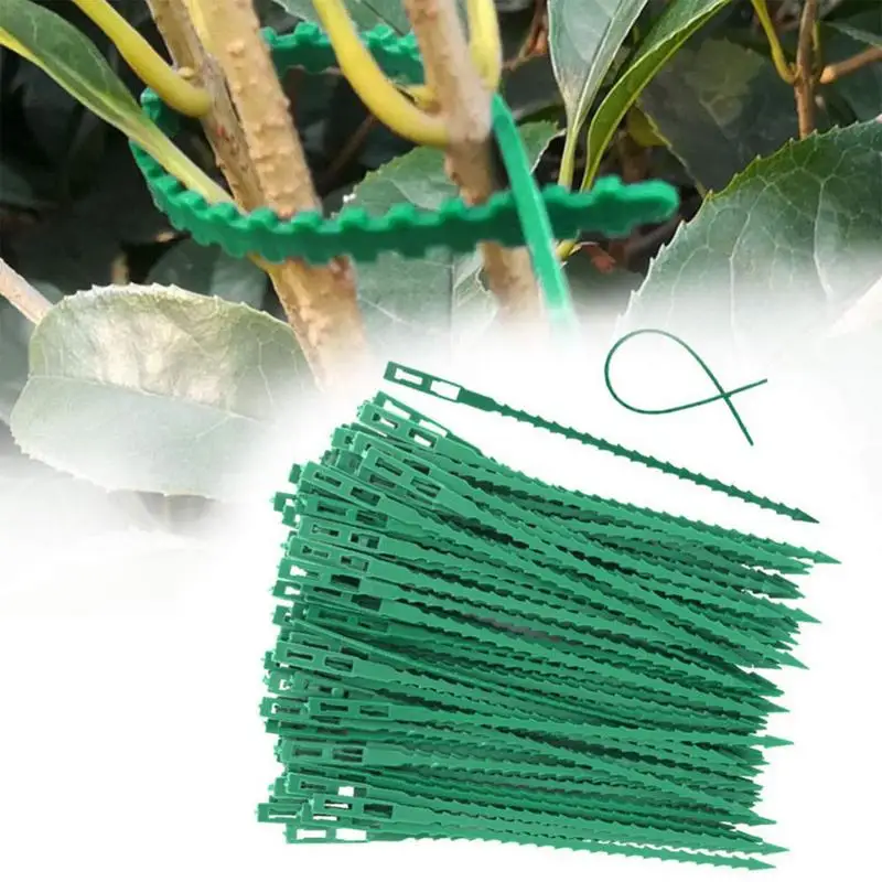 50 Pcs Garden Plant Ties Twist Trellis Plants Vine Holder Support Ties For Tomatoes Reusable Climbing Vines Cords Garden tools
50 Pcs Garden Plant Ties Twist Trellis Plants Vine Holder Support Ties For Tomatoes Reusable Climbing Vines Cords Garden tools