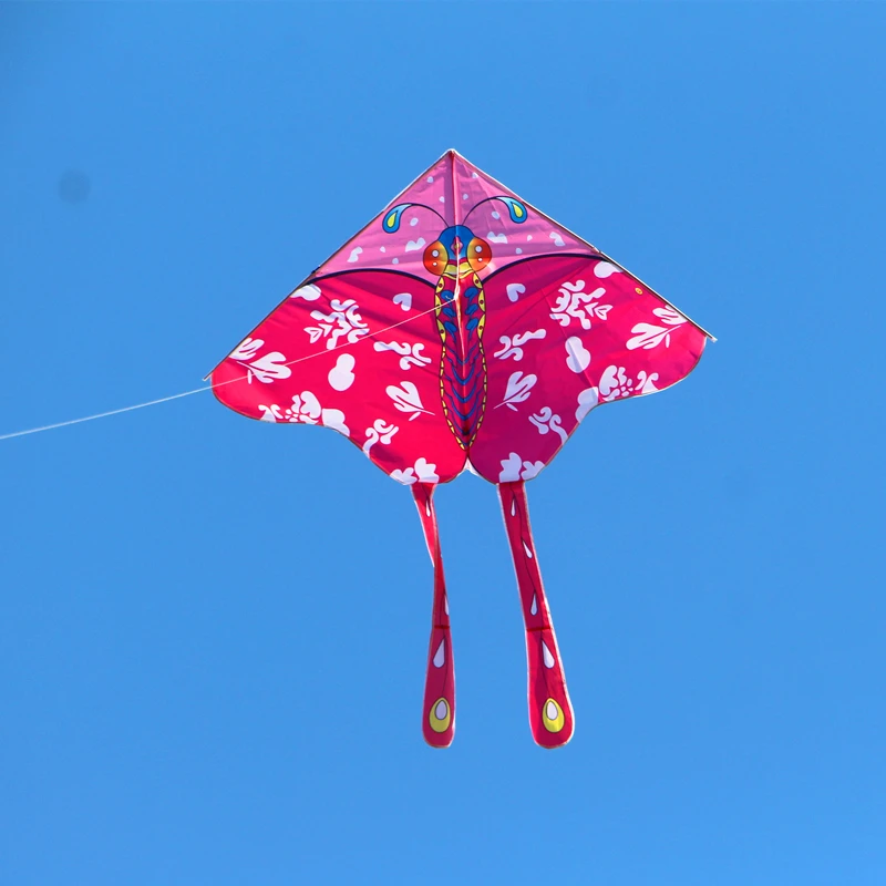 free shipping 10pcs butterfly kites for children kites wholesale single line kites weifang kites factory ikite breeze kites koi
free shipping 10pcs butterfly kites for children kites wholesale single line kites weifang kites factory ikite breeze kites koi