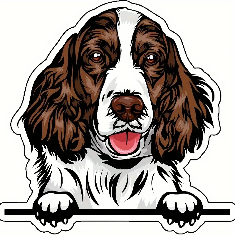 Автомобильная виниловая наклейка счастливого лица Springer Spaniel, Виниловая наклейка Springer Dog Breed, бампер для ноутбуков, аквариумов, окон, автомобилей, грузовиков Wa
Автомобильная виниловая наклейка счастливого лица Springer Spaniel, Виниловая наклейка Springer Dog Breed, бампер для ноутбуков, аквариумов, окон, автомобилей, грузовиков Wa