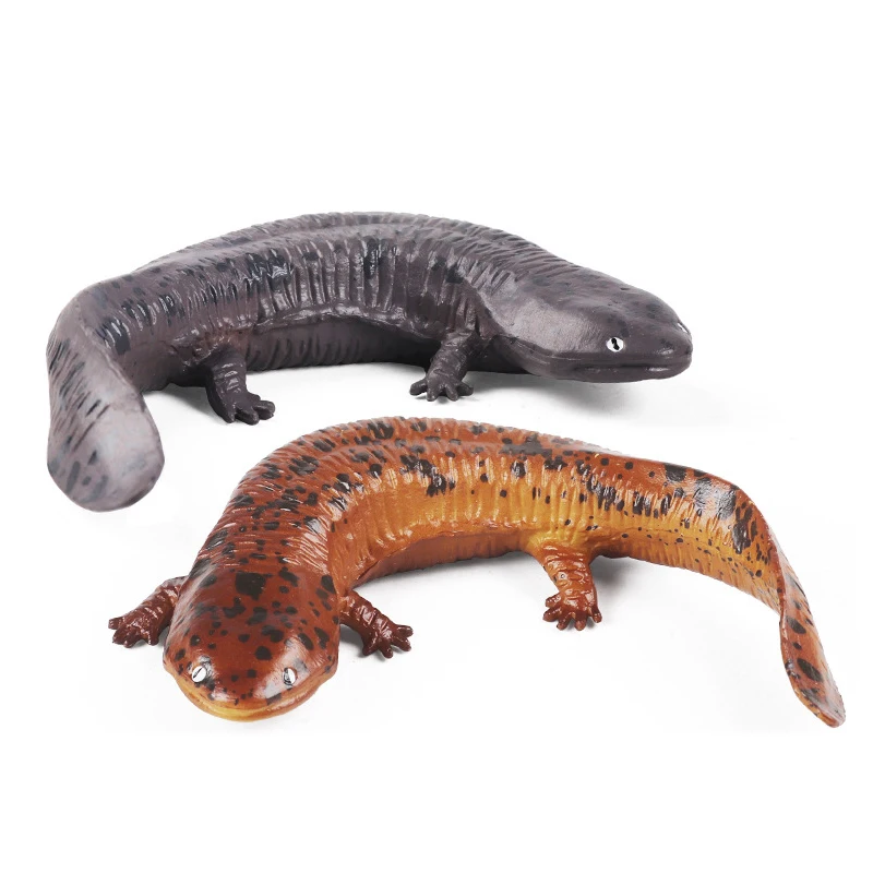 

Simulated Amphibian Model Solid Static Giant Salamander Children's Cognitive Toy Sand Table Ornaments