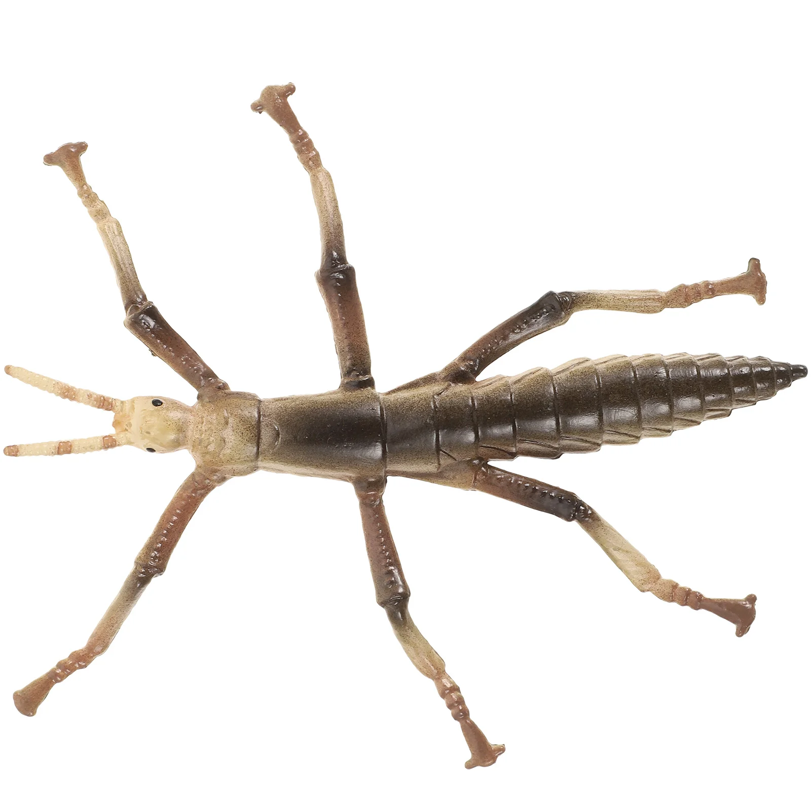 Stick Insect Model Plastic Bugs Kids Educational Toys Children Animal Insects Accessory Supply Interesting
Stick Insect Model Plastic Bugs Kids Educational Toys Children Animal Insects Accessory Supply Interesting