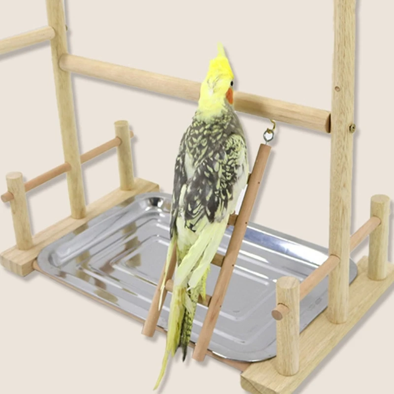 Bird Swing, Parrots Cage Toy, Swing Wooden Ladder with Tray Feeding Cups Training for Small Size Birds Parrots
Bird Swing, Parrots Cage Toy, Swing Wooden Ladder with Tray Feeding Cups Training for Small Size Birds Parrots