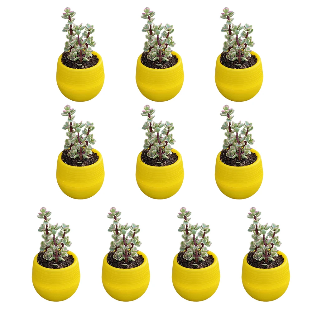 Durable Plant Pot Absorbing Pot Blue Green Home Office Decoration Plant Trees Plastic Red Rose Red Smooth Surface
Durable Plant Pot Absorbing Pot Blue Green Home Office Decoration Plant Trees Plastic Red Rose Red Smooth Surface