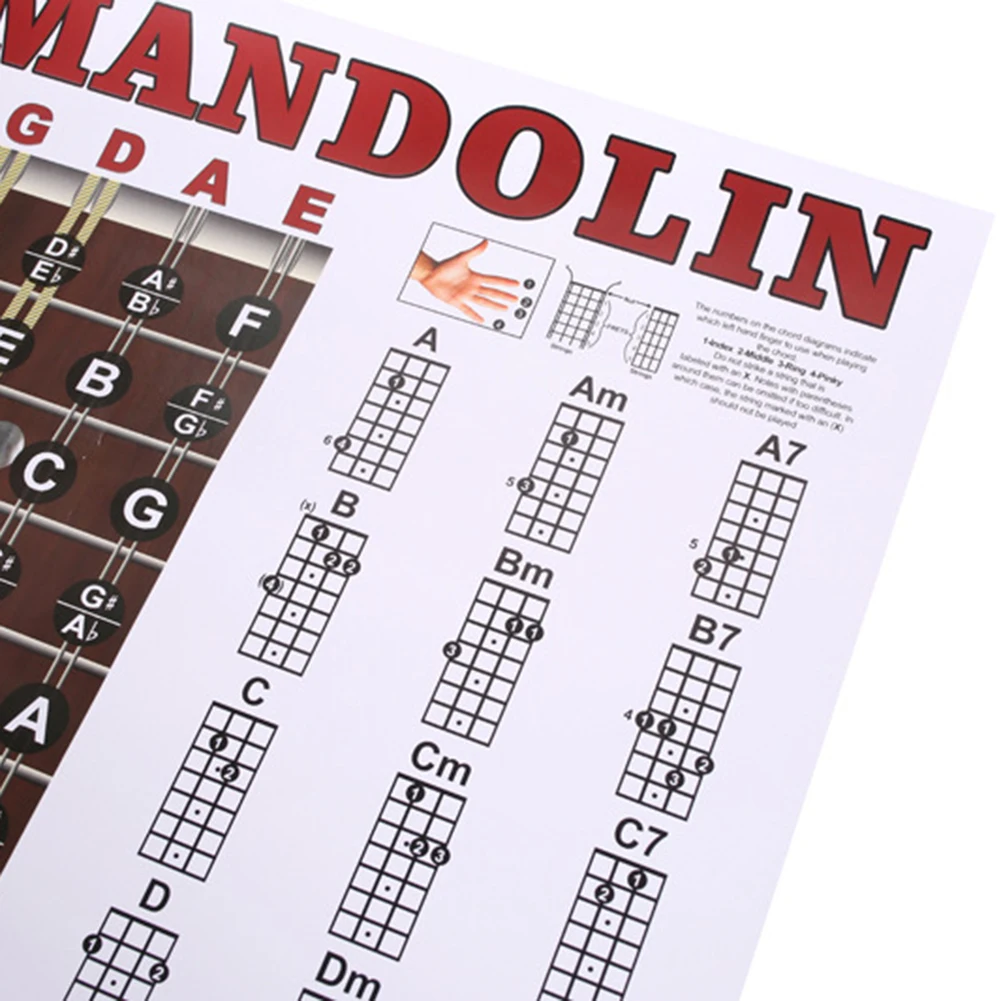 Chords Poster Chords Chart Clear Finger Labeling Easy-to-read Format Mandolin Chords Reference White Ideal Gift
Chords Poster Chords Chart Clear Finger Labeling Easy-to-read Format Mandolin Chords Reference White Ideal Gift