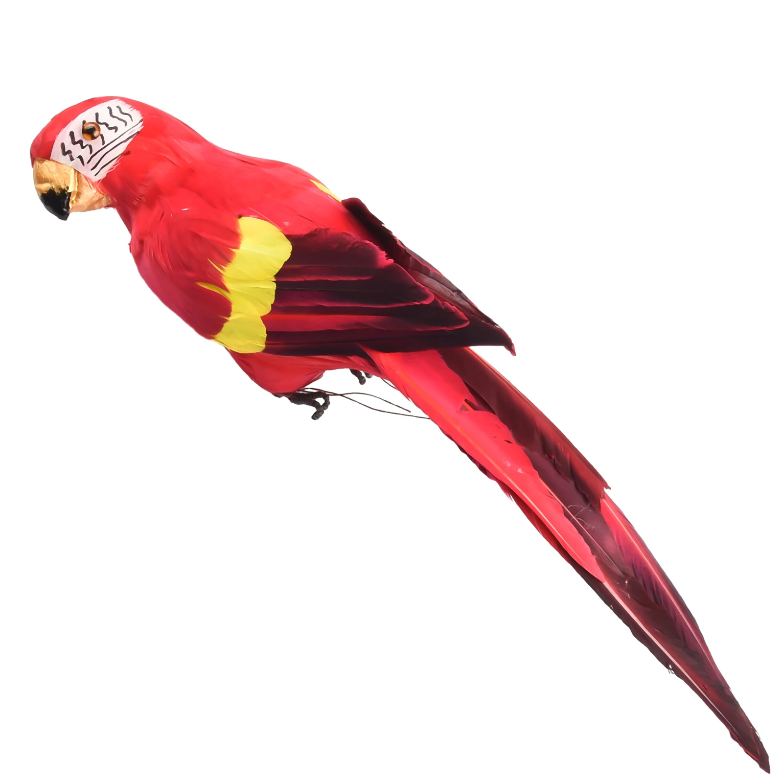 Craft Exquisite Artificial Parrot Handcraft Home Realistic Decor Garden Photography Shop window Simulation Yard
Craft Exquisite Artificial Parrot Handcraft Home Realistic Decor Garden Photography Shop window Simulation Yard