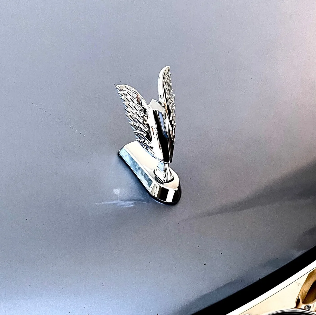 1 Pcs New 3D Metal Wing Eagle Logo Front Bonnet Emblem Car Styling Stand Hood Badge Decal Car Stickers Car Accessories
1 Pcs New 3D Metal Wing Eagle Logo Front Bonnet Emblem Car Styling Stand Hood Badge Decal Car Stickers Car Accessories