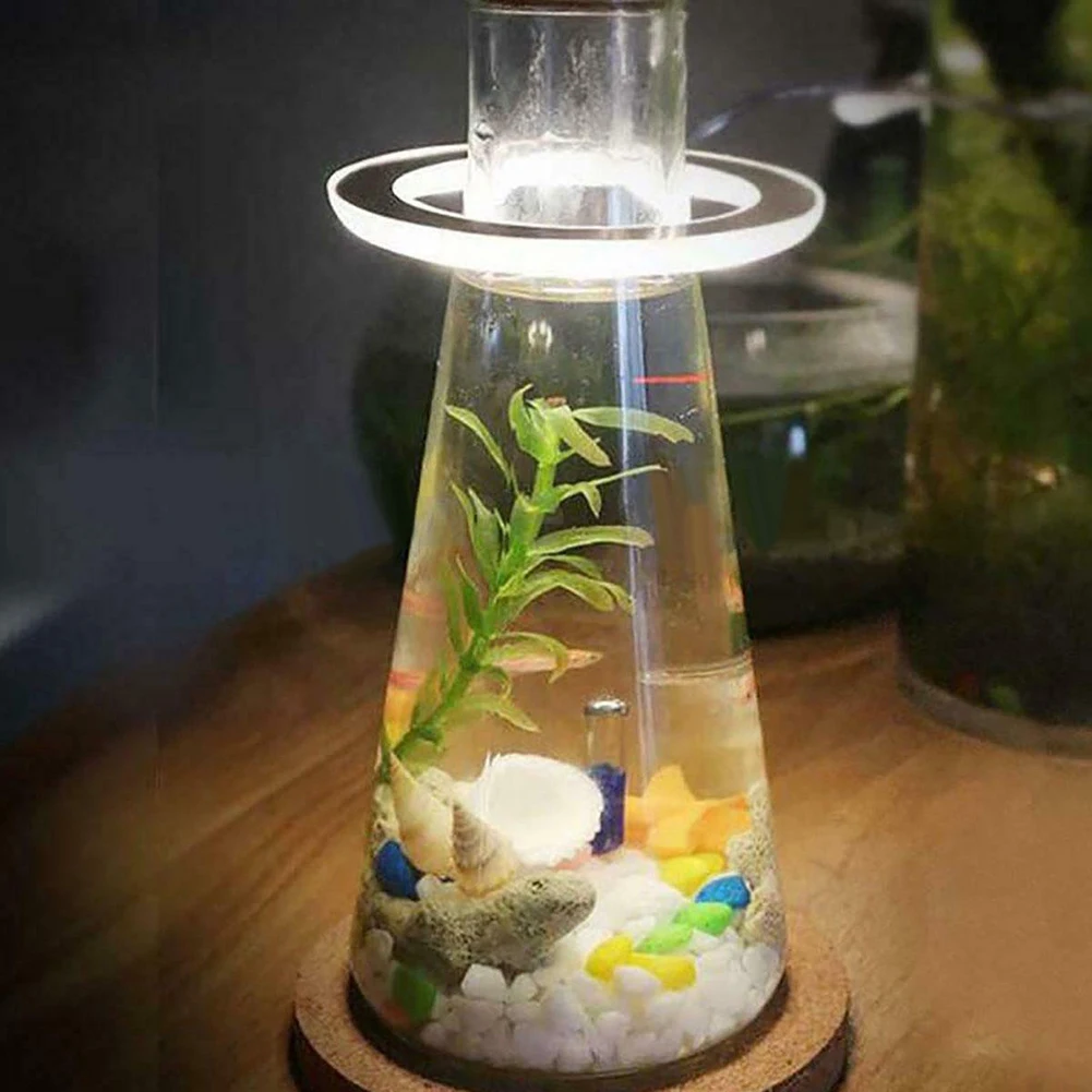 LED Grow Light Plant Growing Full Spectrum Dimmable For Indoor Garden Succulents Flower Prolong Flowering Period Ring Lamp 5v 2w
LED Grow Light Plant Growing Full Spectrum Dimmable For Indoor Garden Succulents Flower Prolong Flowering Period Ring Lamp 5v 2w