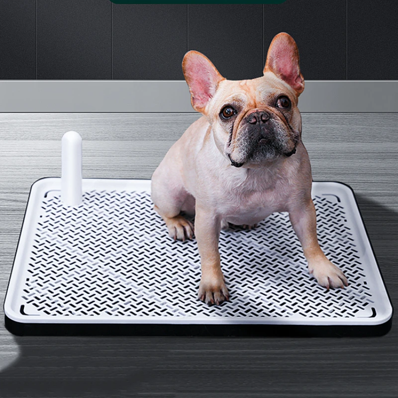 Special Pet Poop Dog Toilet Behavior Aids Cleaning Dog Toilet Training Accessories Articulos Para Perros Puppy Supplies WZ50DT
Special Pet Poop Dog Toilet Behavior Aids Cleaning Dog Toilet Training Accessories Articulos Para Perros Puppy Supplies WZ50DT