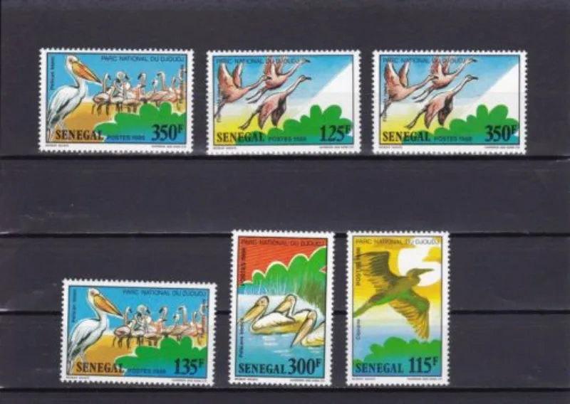 6 PCS, Senegal Post Stamps, Bird Stamps, Real Original Stamps for Collection, MNH
6 PCS, Senegal Post Stamps, Bird Stamps, Real Original Stamps for Collection, MNH