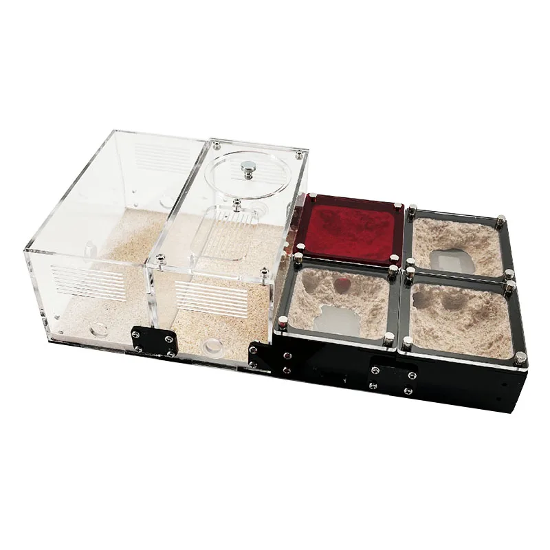 Concrete Ant Farm House Unlimited Expansion Ant Nest Anthill Formicarium with Hunting Area Moisturizing Insect House Ant Kennel
Concrete Ant Farm House Unlimited Expansion Ant Nest Anthill Formicarium with Hunting Area Moisturizing Insect House Ant Kennel
